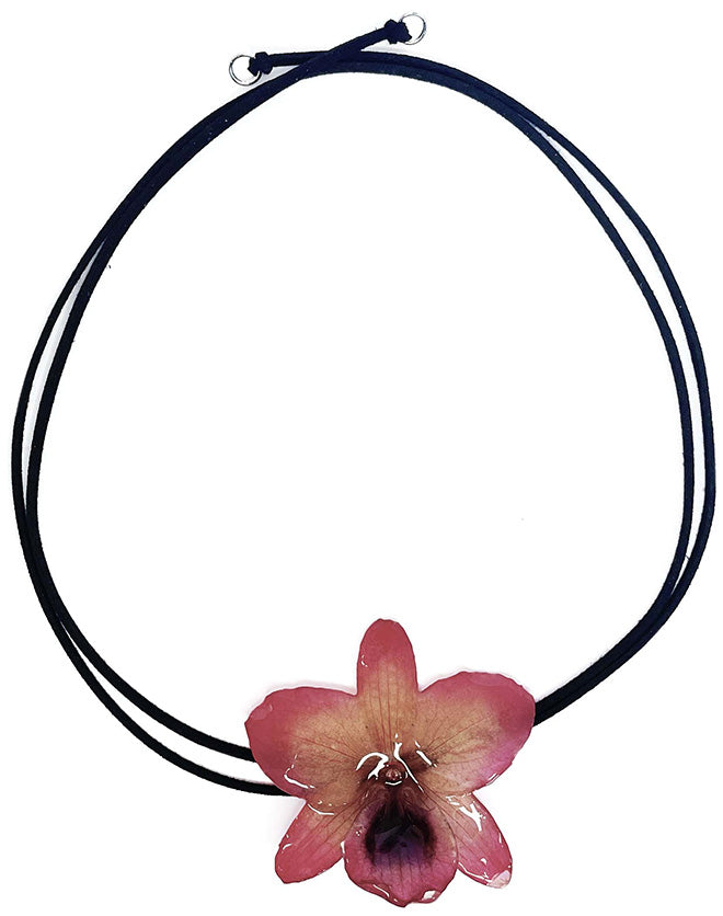 Nobile Rose