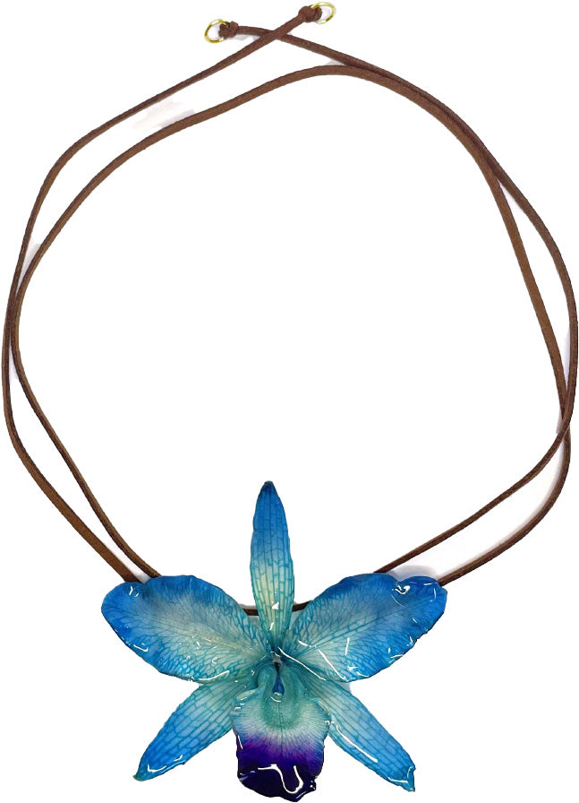 Cattleya Bleue