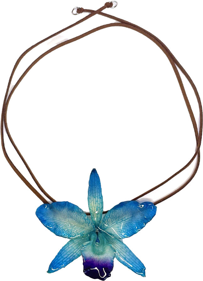 Cattleya Bleue