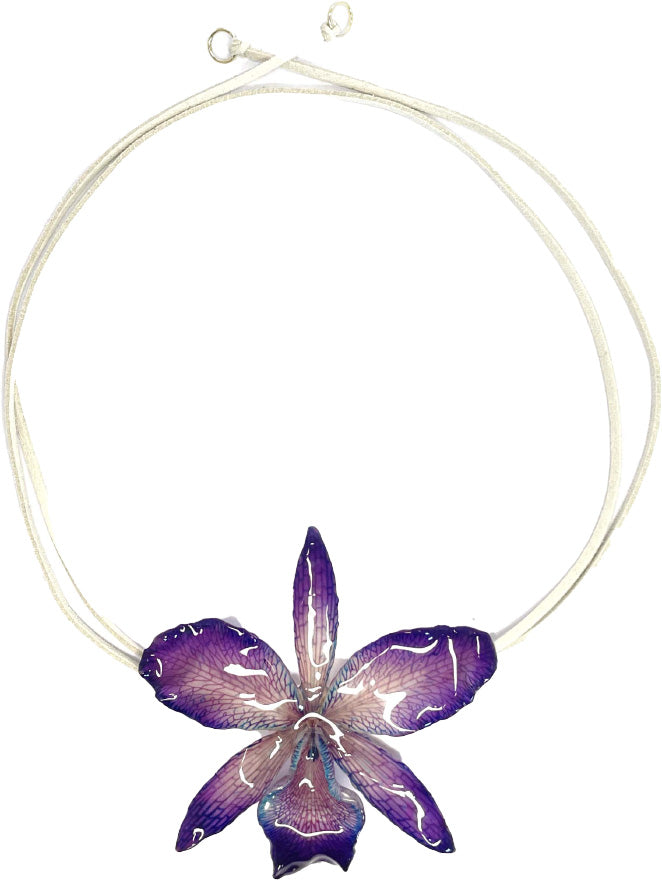 Cattleya Violette