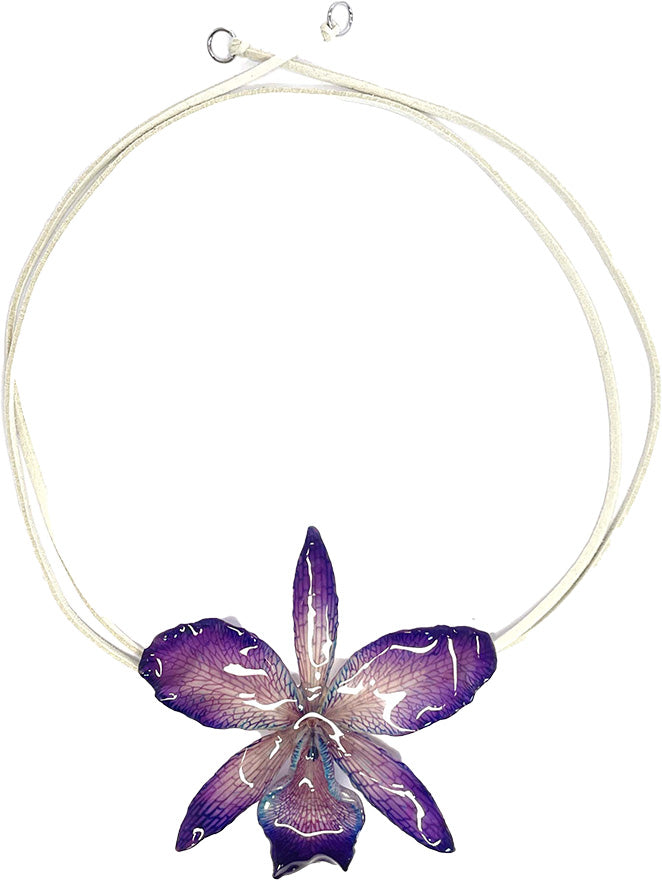 Cattleya Violette