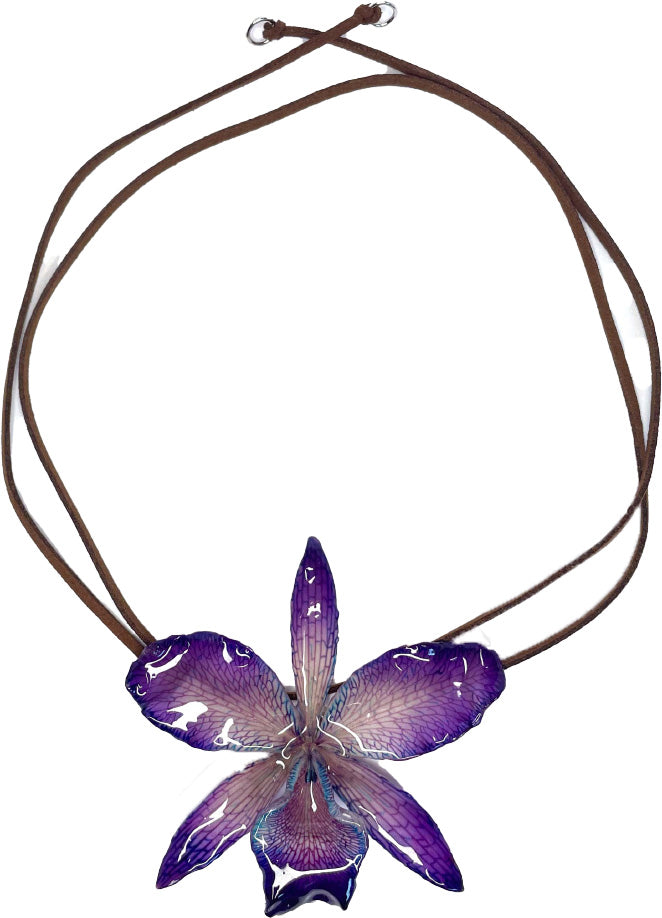 Cattleya Violette