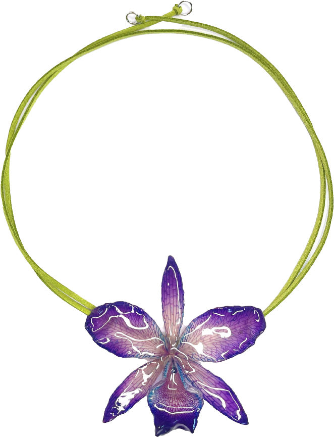 Cattleya Violette