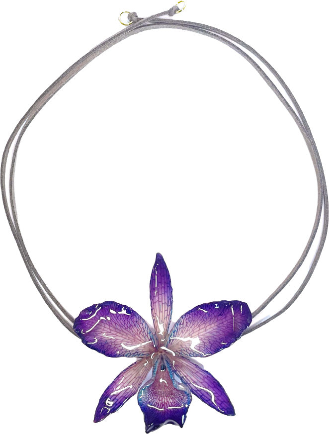 Cattleya Violette