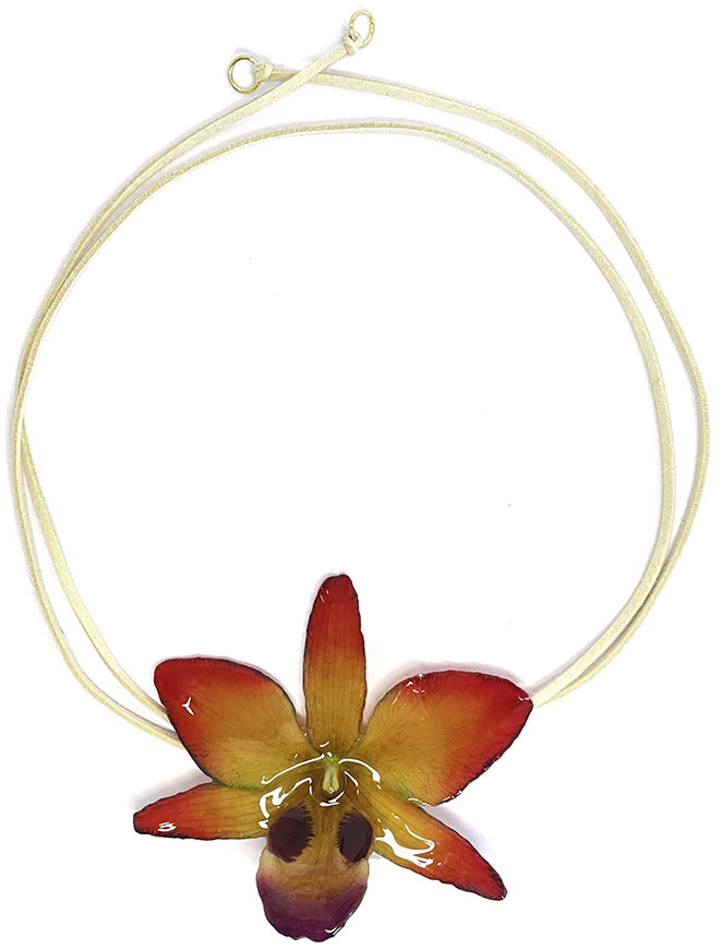 Dendrobium Black Eye Orange