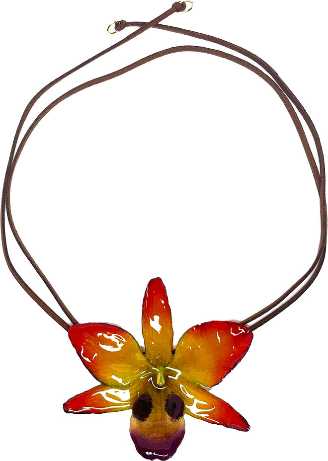 Dendrobium Black Eye Orange