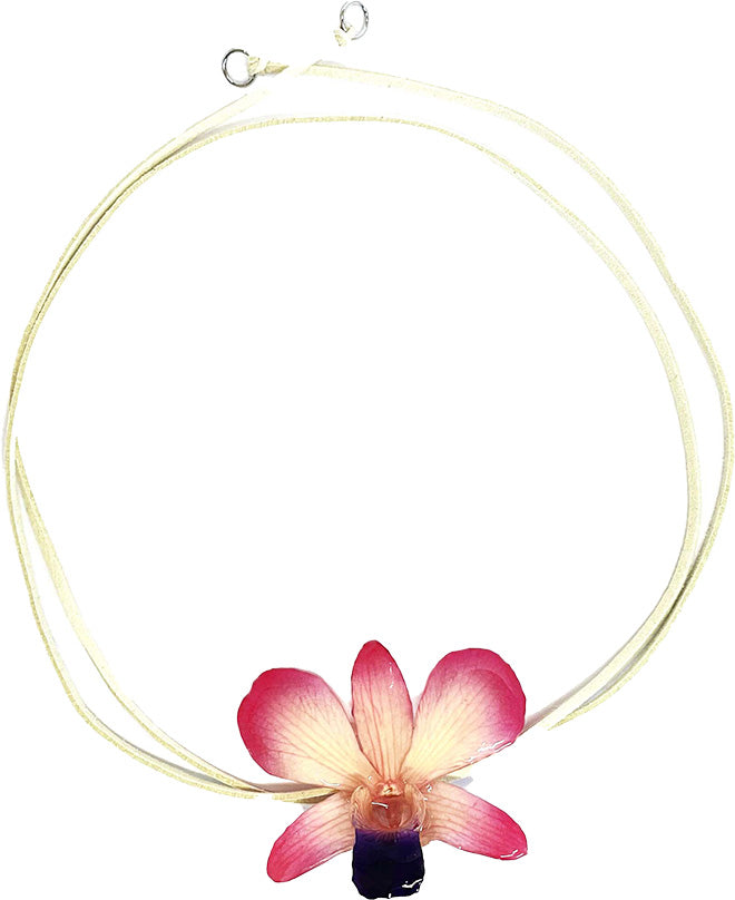 Dendrobium Rose