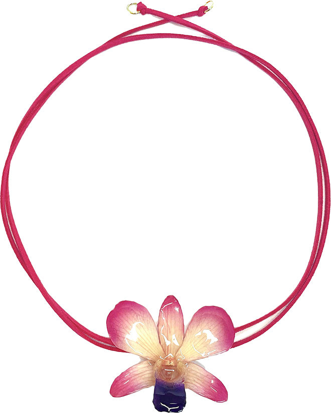 Dendrobium Rose