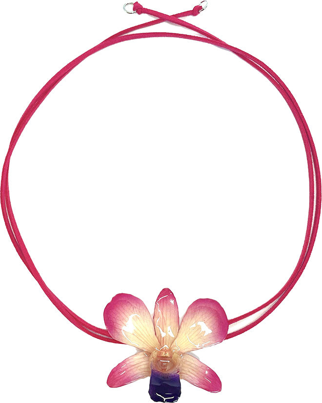 Dendrobium Rose