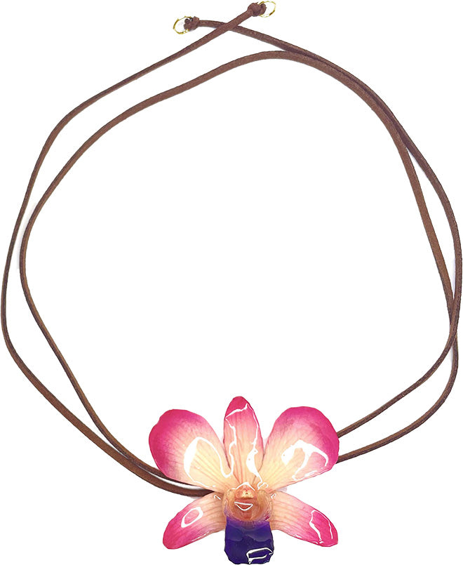 Dendrobium Rose