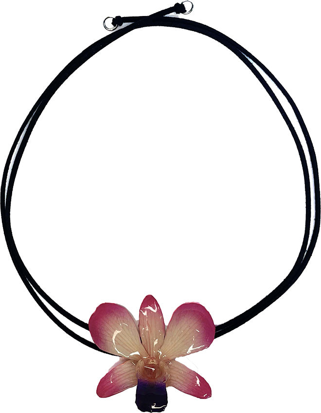 Dendrobium Rose