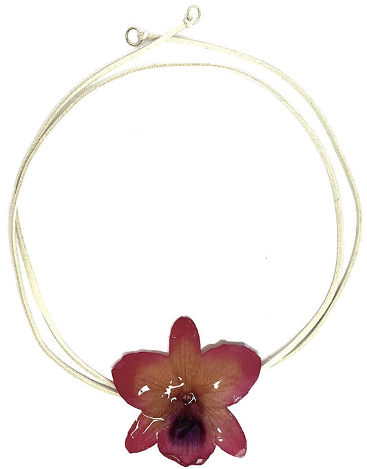 Nobile Rose