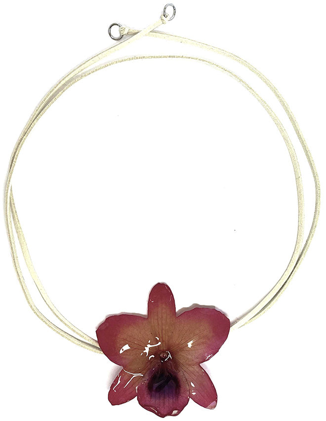 Nobile Rose