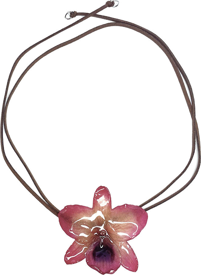 Nobile Rose