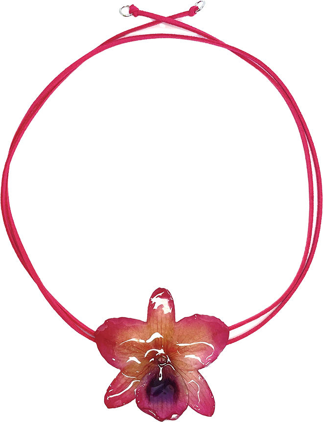 Nobile Rose