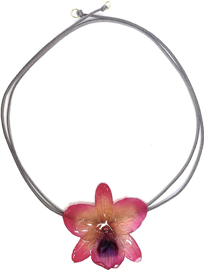 Nobile Rose