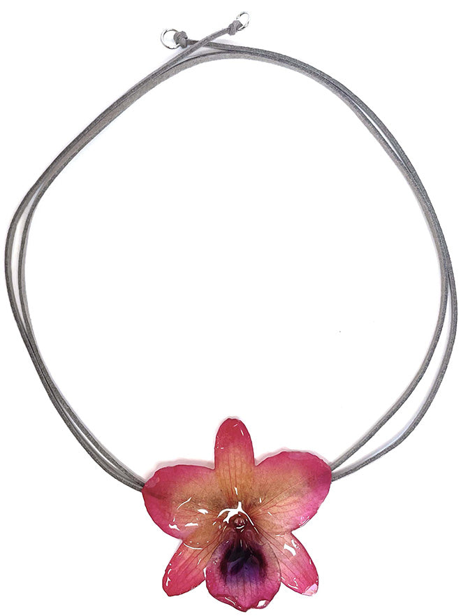 Nobile Rose